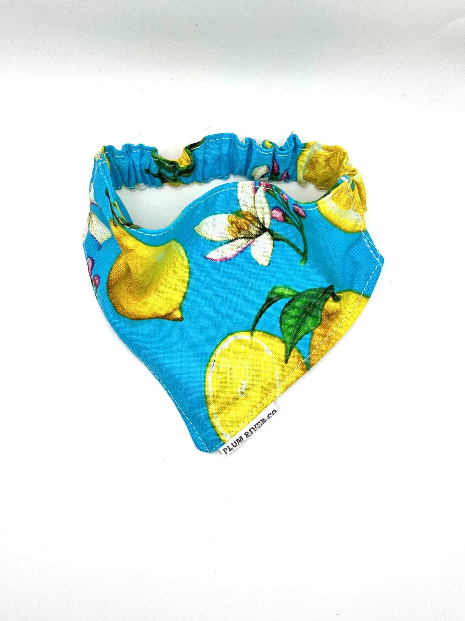 Limoncello Bloom