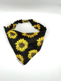 Sunflower Fields